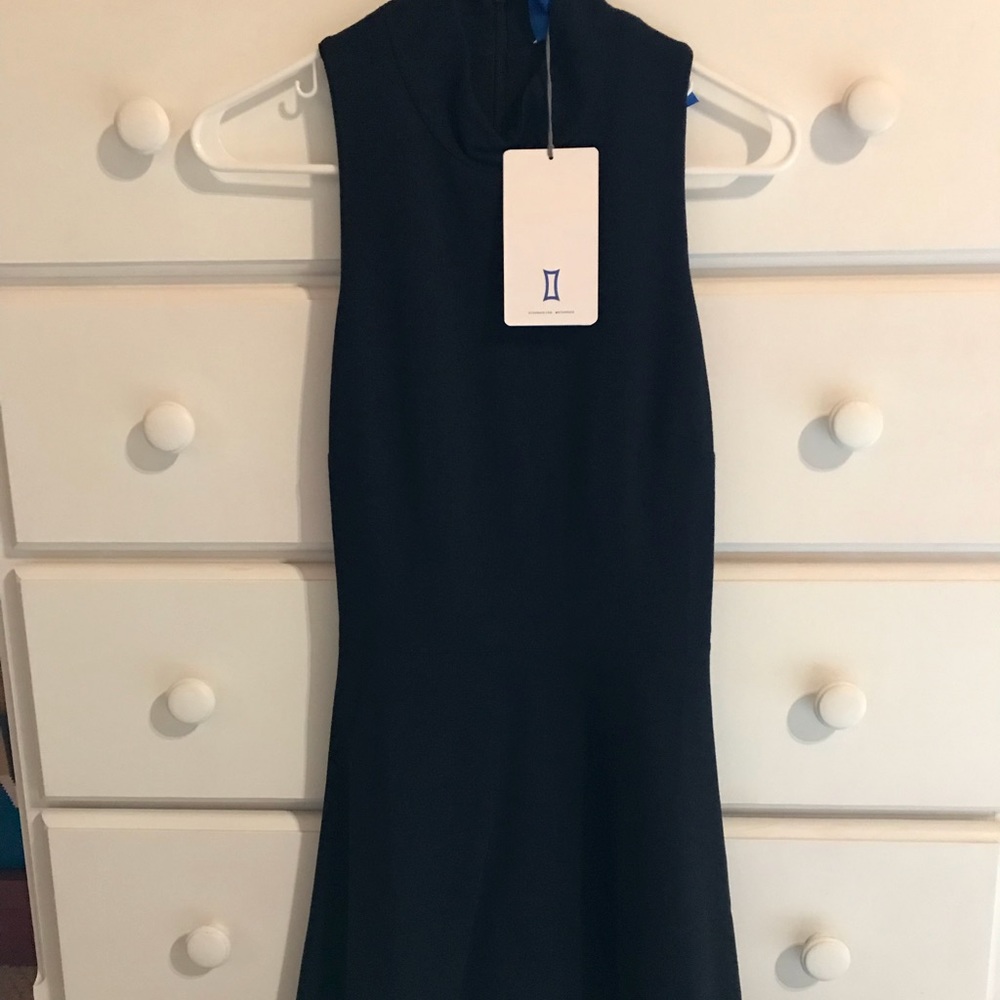 Kit and Ace Monaco dress